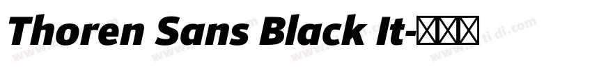 Thoren Sans Black It字体转换